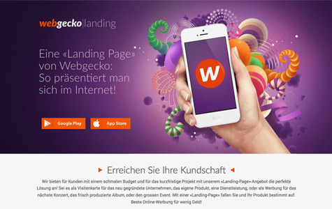 Projekt